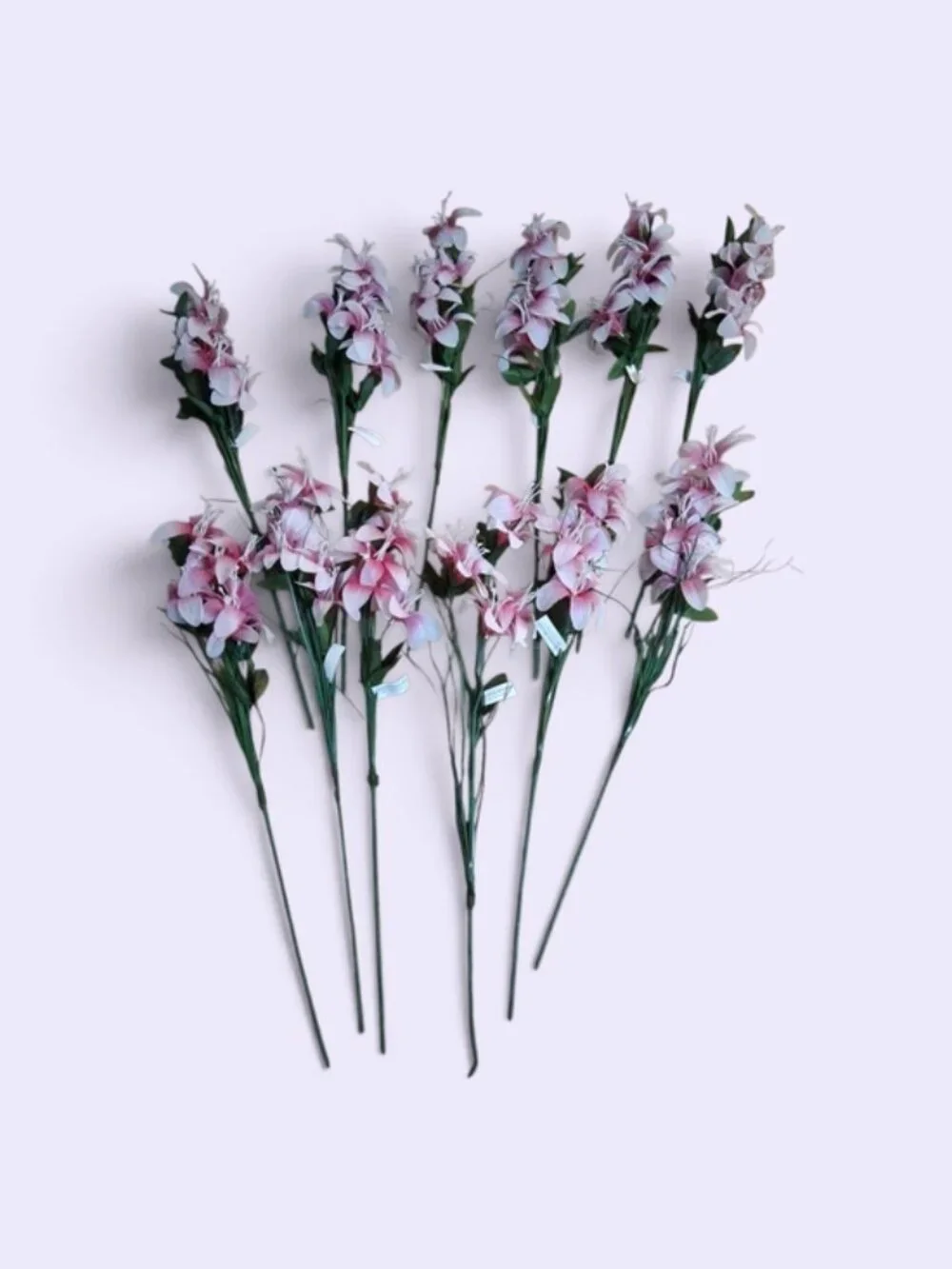 FIGLIOLINI S.R.L. elegant pink